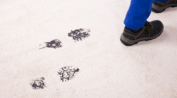 Protect Carpets
