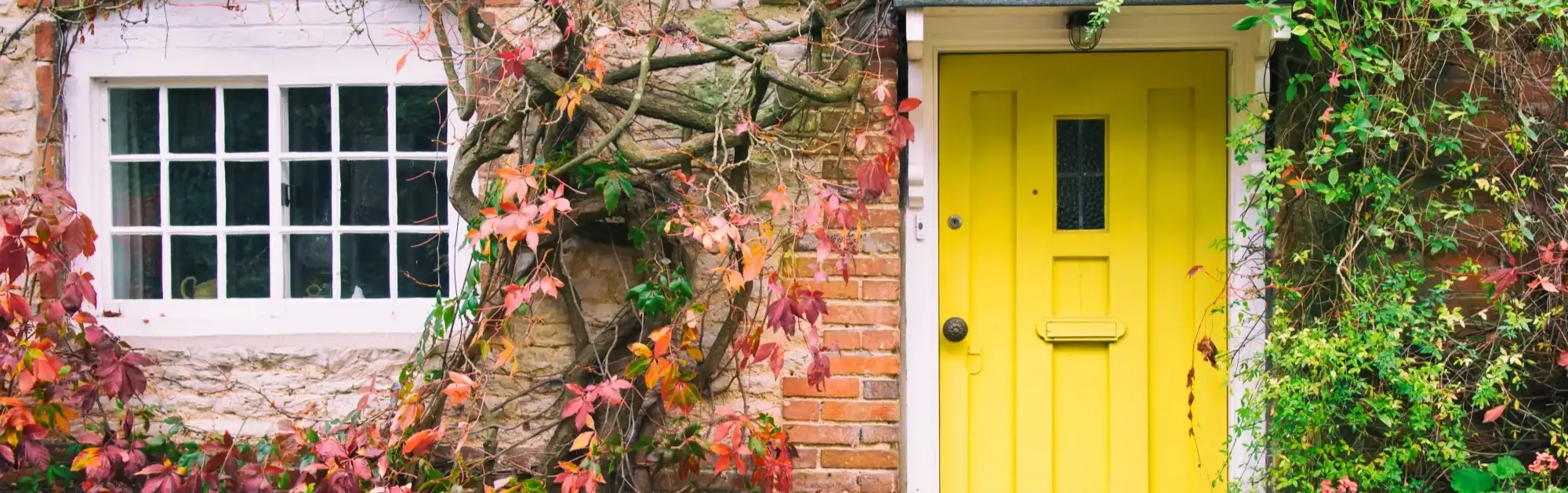 Yellow Cottage Door