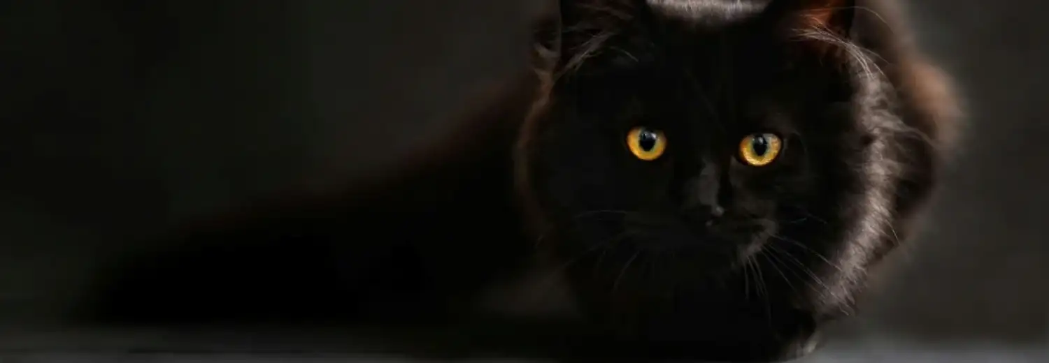 Worst Day To Move House?